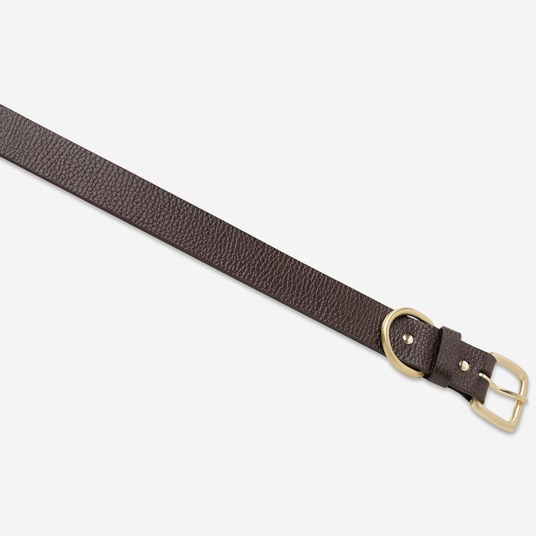 Status Anxiety Disarm Women's Leather Belt Choc/Gold